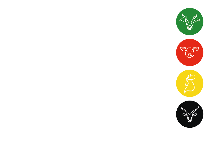Guyane Terre D'élevage